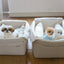 【予約】Basic cozy mung seat₊cushion