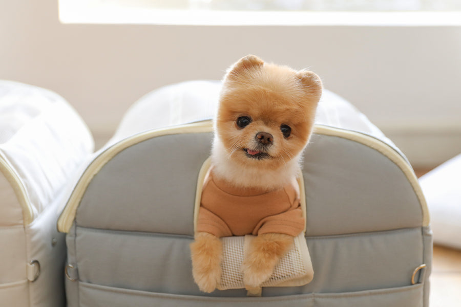 【予約】Basic cozy mung seat₊cushion