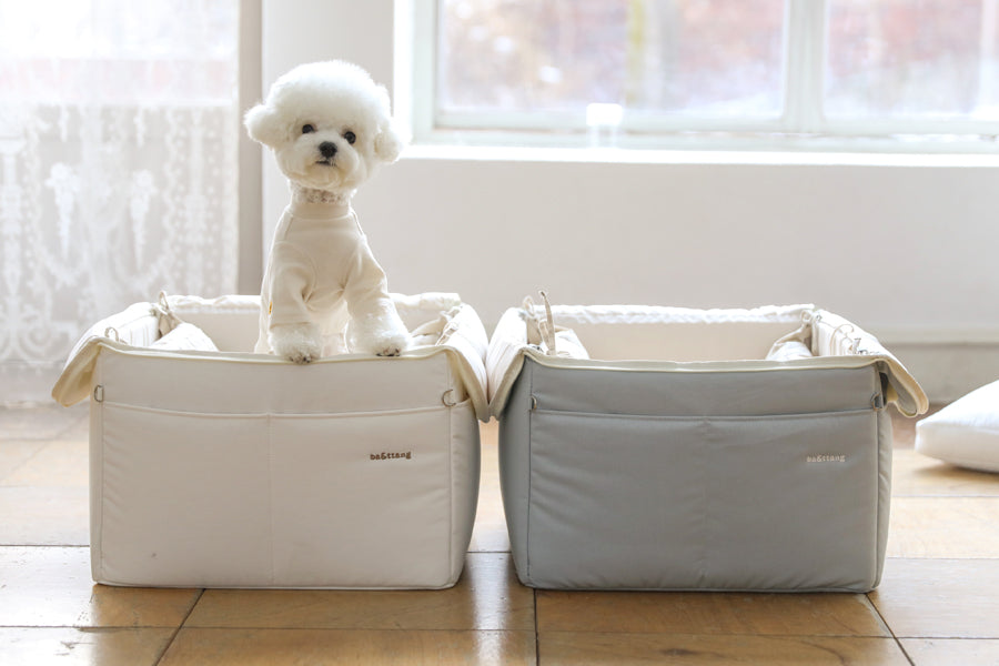 【予約】Basic cozy mung seat₊cushion