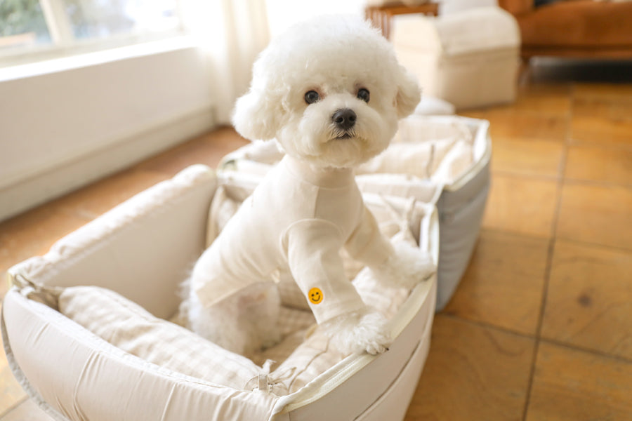 【予約】Basic cozy mung seat₊cushion