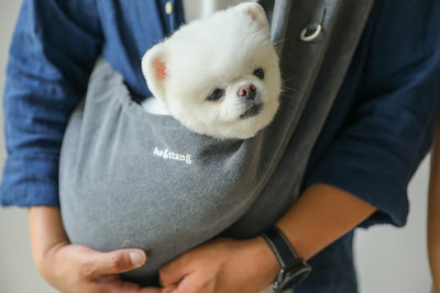 【予約】comfortable slingbag｜犬用キャリーバッグ・スリングバッグ