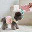 【予約】ANIMAL NOSEWORK TOY