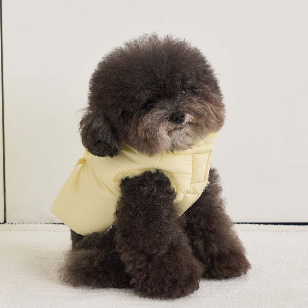 【予約】ポメロ ダウン