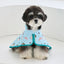 【予約】SPLASH PONCHO RAINCOAT