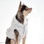 【予約】001 Edition - Tweed Hood Vest