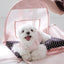 【予約】Airy Soft Backpack (2color)｜犬用キャリーバッグ