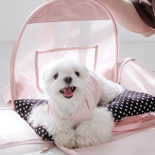 【予約】Airy Soft Backpack (2color)｜犬用キャリーバッグ
