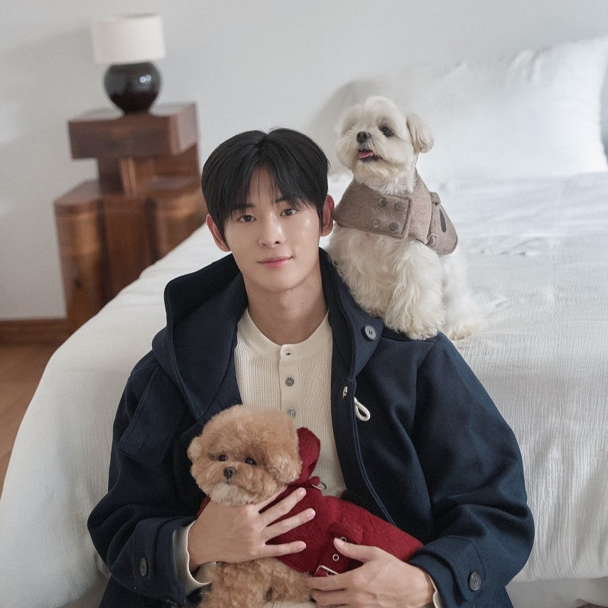 【一部即納】Baby Alpaca Coat