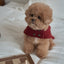 【一部即納】Baby Alpaca Coat
