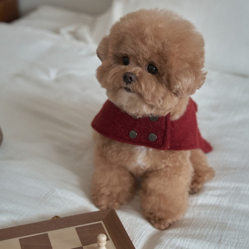 【一部即納】Baby Alpaca Coat