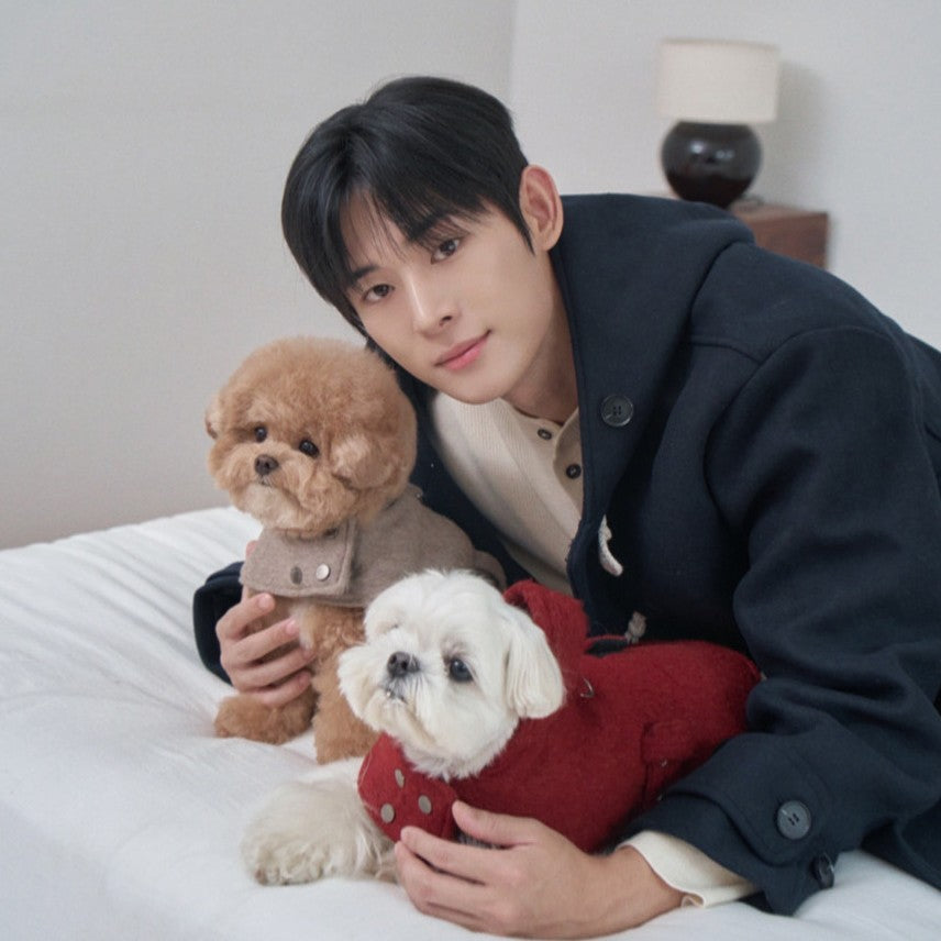 【一部即納】Baby Alpaca Coat
