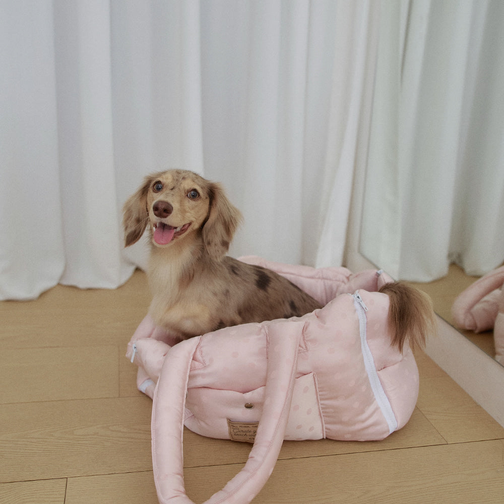 【予約】Cloud Pudding Bag