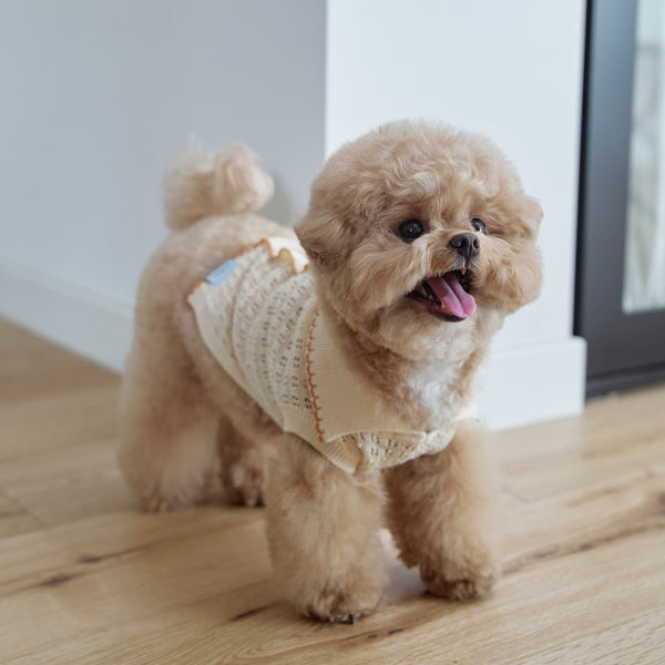 【一部即納】Cool Air Crochet Knit
