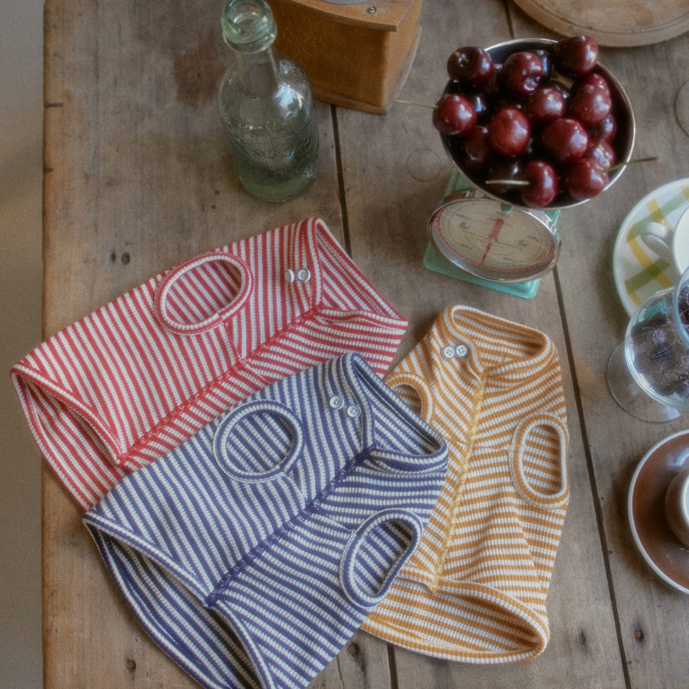 【一部即納】Eloy Stripe T-shirt