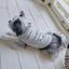 【予約】Marine Stripe Anchor T-shirt