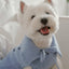 【予約】Sailor Classic Merino Wool 100 Knit (2 color)