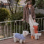 【予約】Sailor Classic Merino Wool 100 Knit (2 color)