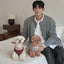 【予約】Merino Wool 100 Comfort Knit (2 color)