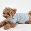 【予約】Tailoring Wind Jacket
