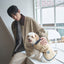 【一部即納】Signature Wool 100 Classic Jacket (2 color)