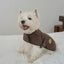 【一部即納】Signature Wool 100 Classic Jacket (2 color)