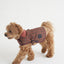 【一部即納】Wool classic bukle jacket