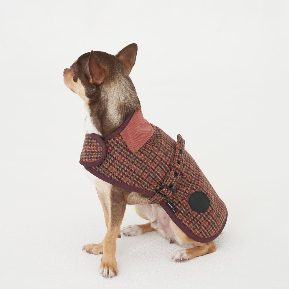 【一部即納】Wool classic bukle jacket