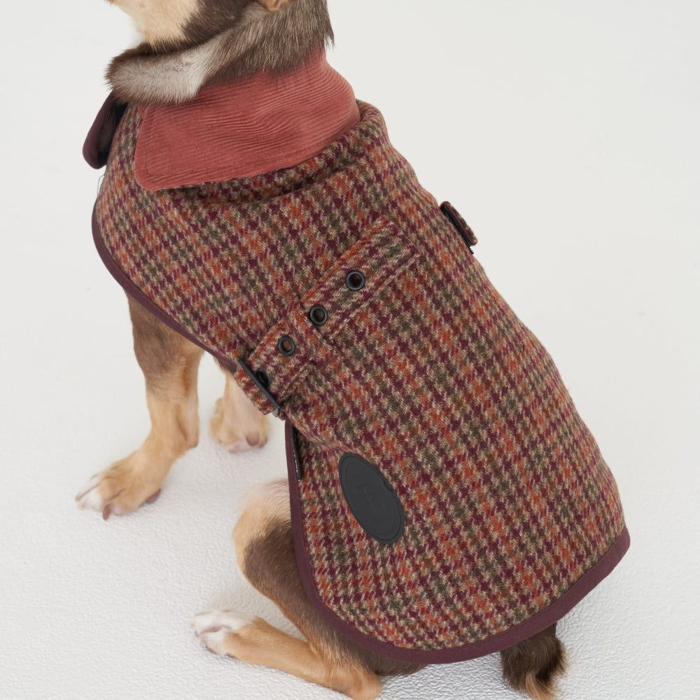 【一部即納】Wool classic bukle jacket