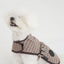 【一部即納】Wool classic bukle jacket
