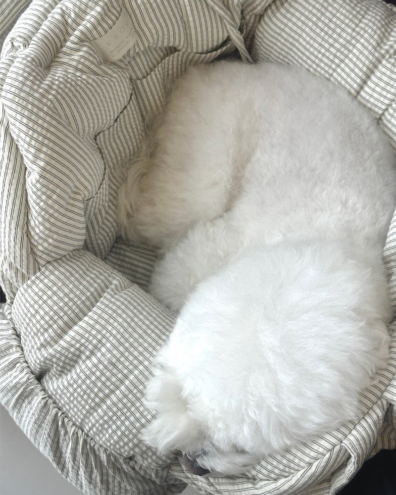 【即納】EYOU Hug bag｜犬用キャリーバッグ
