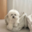 【即納】EYOU Hug bag｜犬用キャリーバッグ