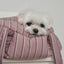 【予約】NEW Hug Bag