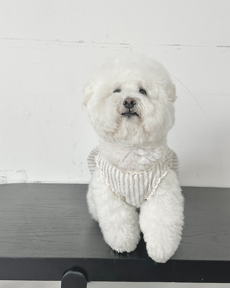 【予約】Stripe Balloon Vest
