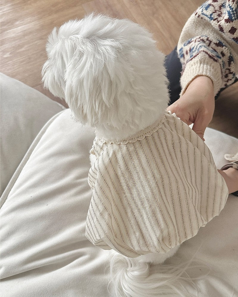 【予約】Stripe Balloon Vest