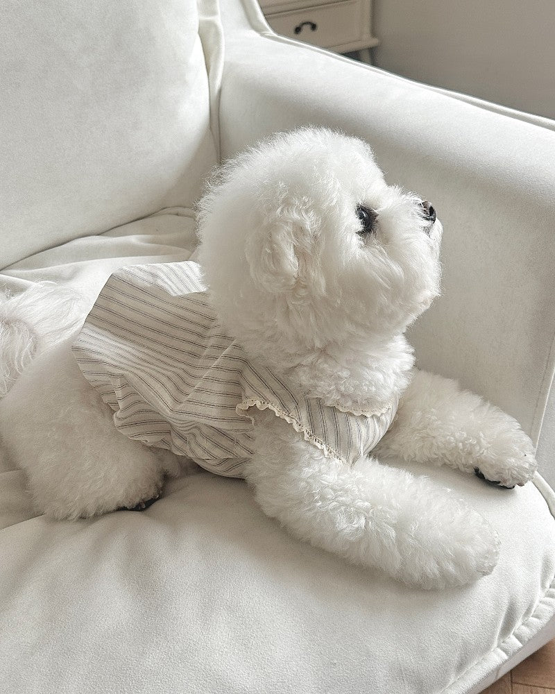 【予約】Stripe Balloon Vest