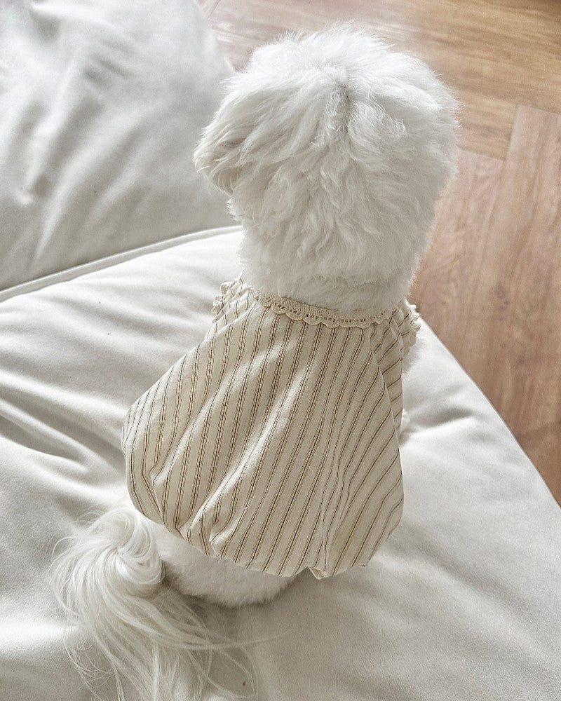 【予約】Stripe Balloon Vest