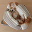 【予約】Cushion Bag｜犬用キャリーバッグ