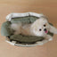 【予約】Cushion Bag｜犬用キャリーバッグ