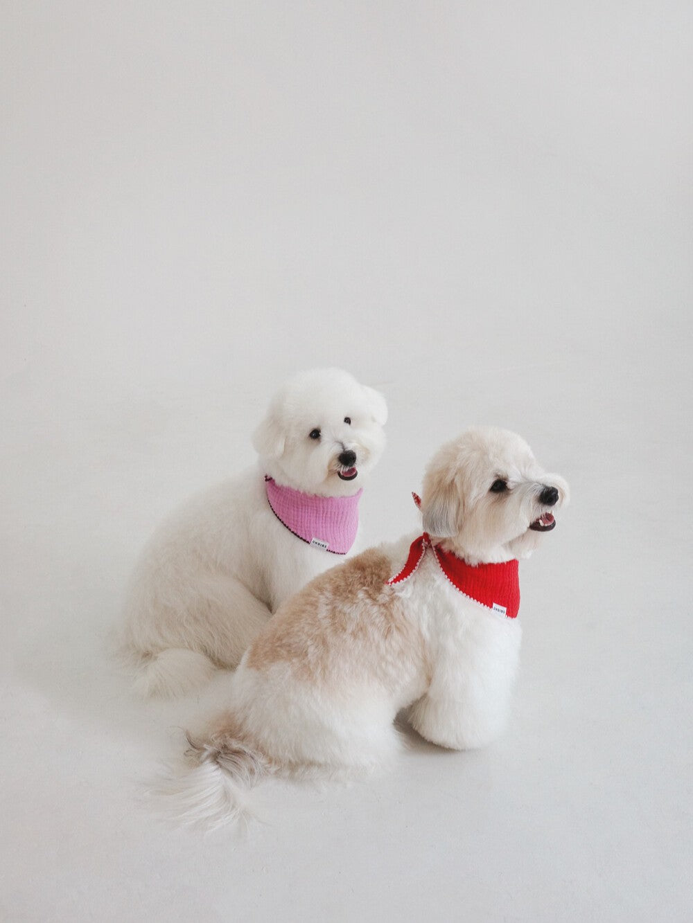 【予約】BABY SCARF