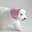 【予約】BABY SCARF