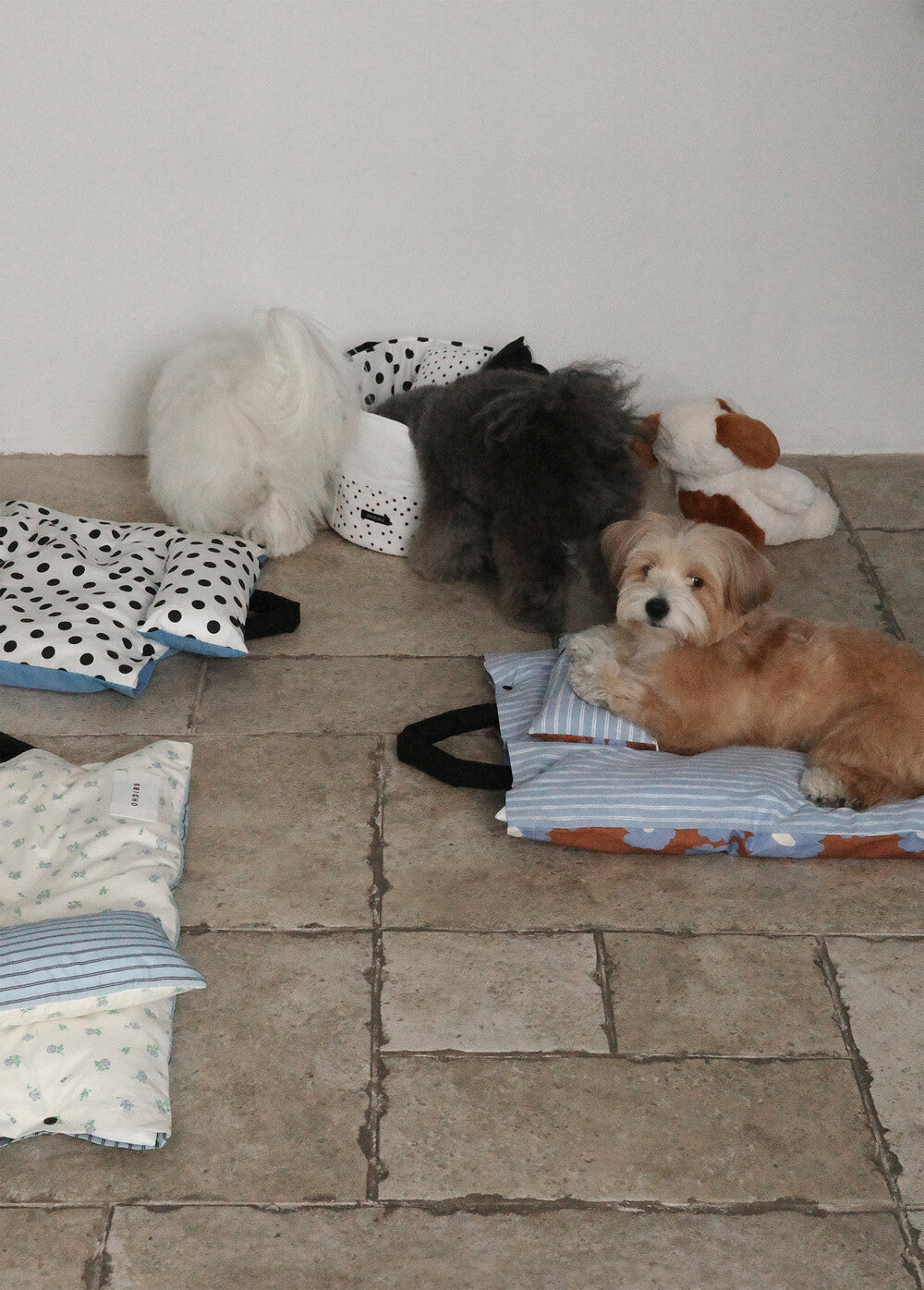 【予約】Cotton Pop Basket