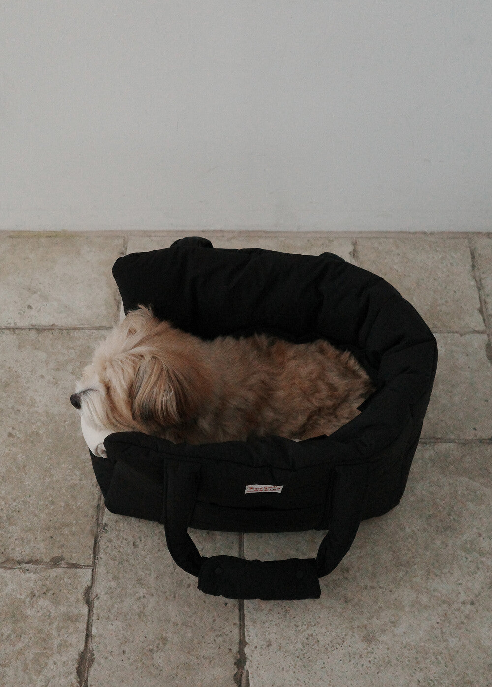 【予約】 DAY CARRY BAG (black)｜犬用キャリーバッグ