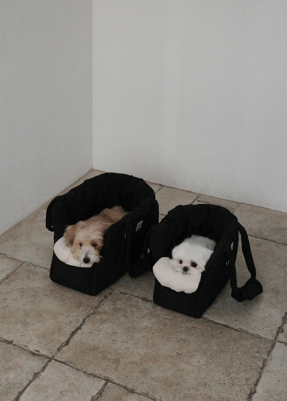 【予約】 DAY CARRY BAG (black)｜犬用キャリーバッグ
