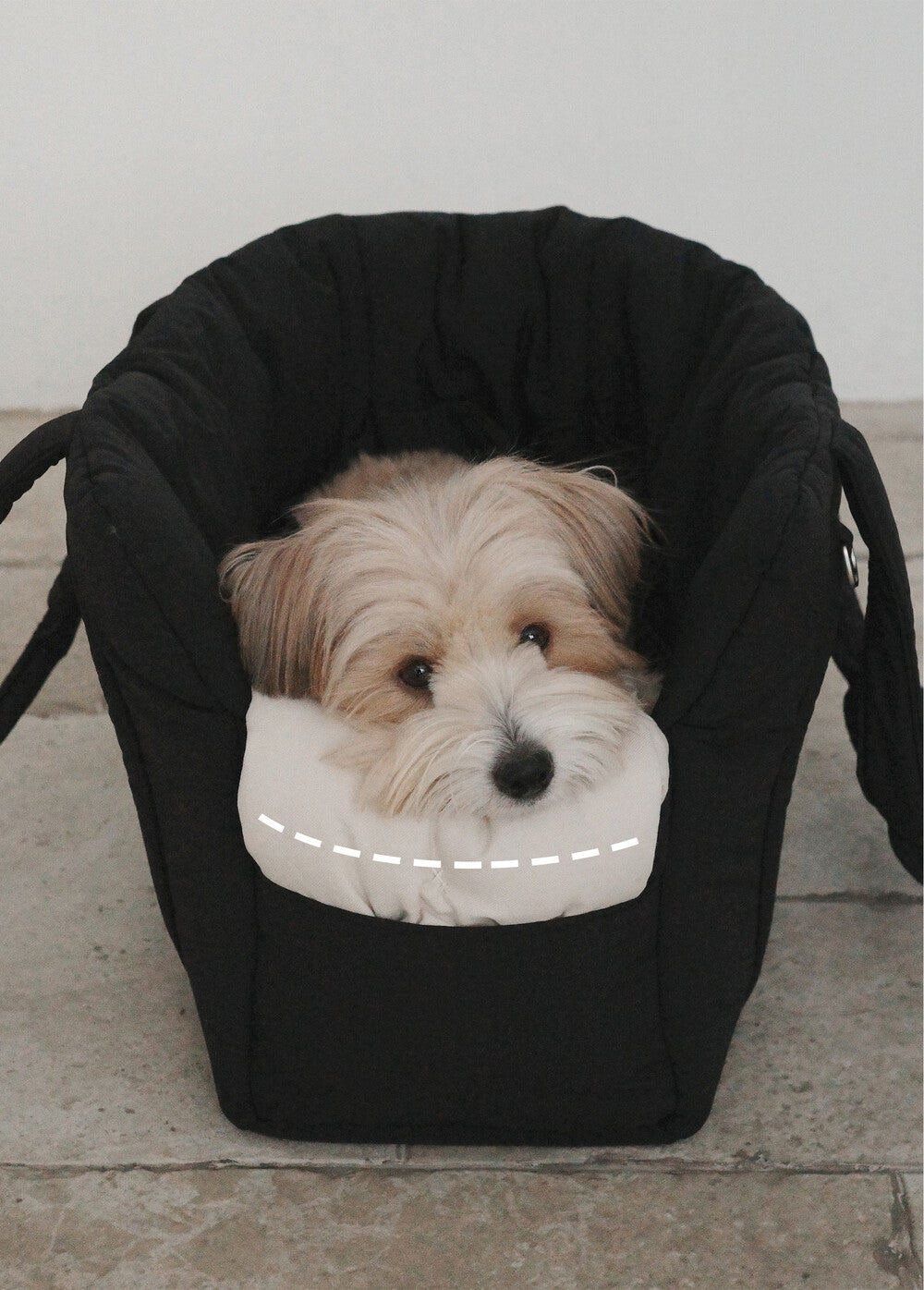 【予約】 DAY CARRY BAG (black)｜犬用キャリーバッグ