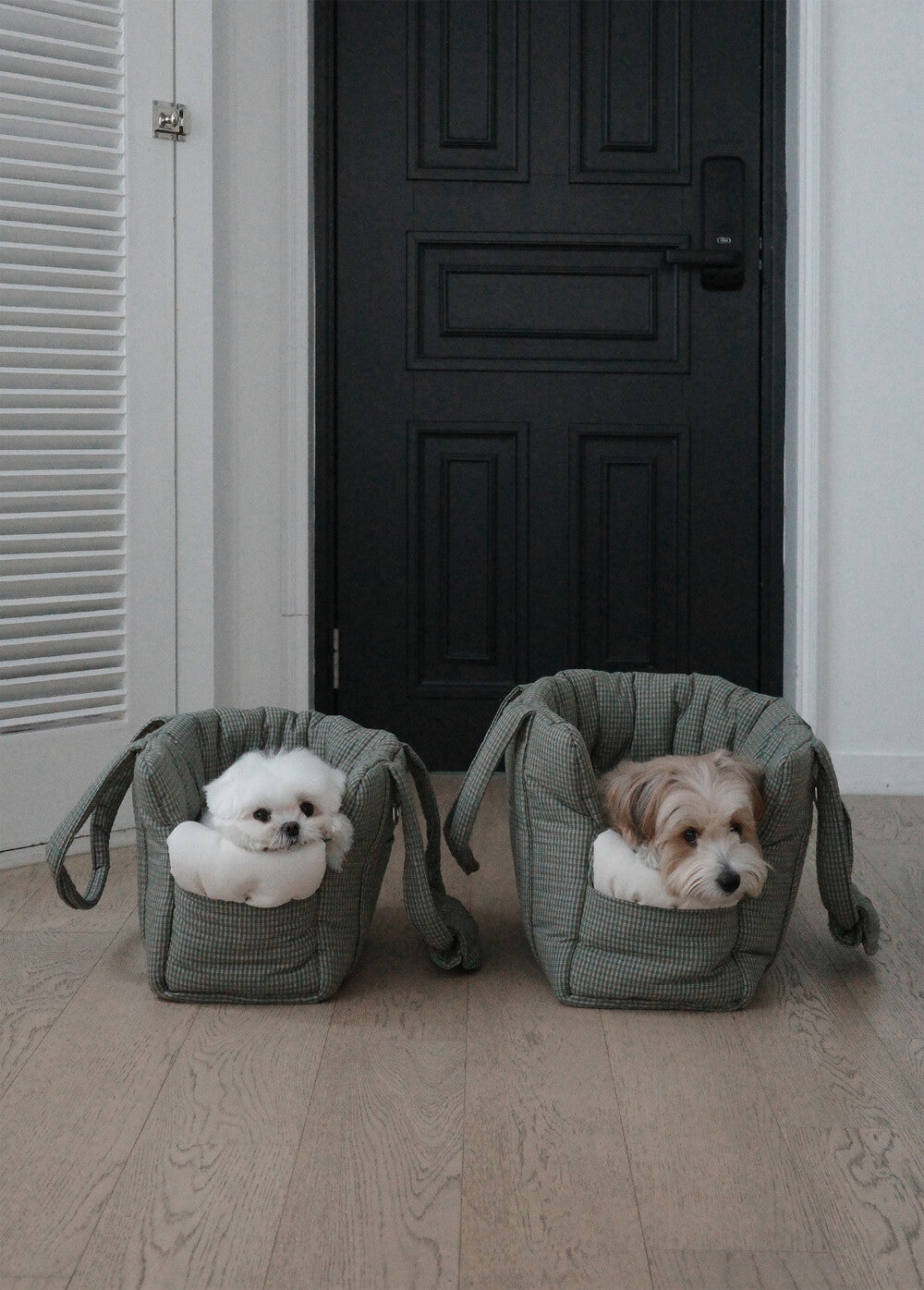 【予約】 DAY CARRY BAG (khaki check)｜犬用キャリーバッグ