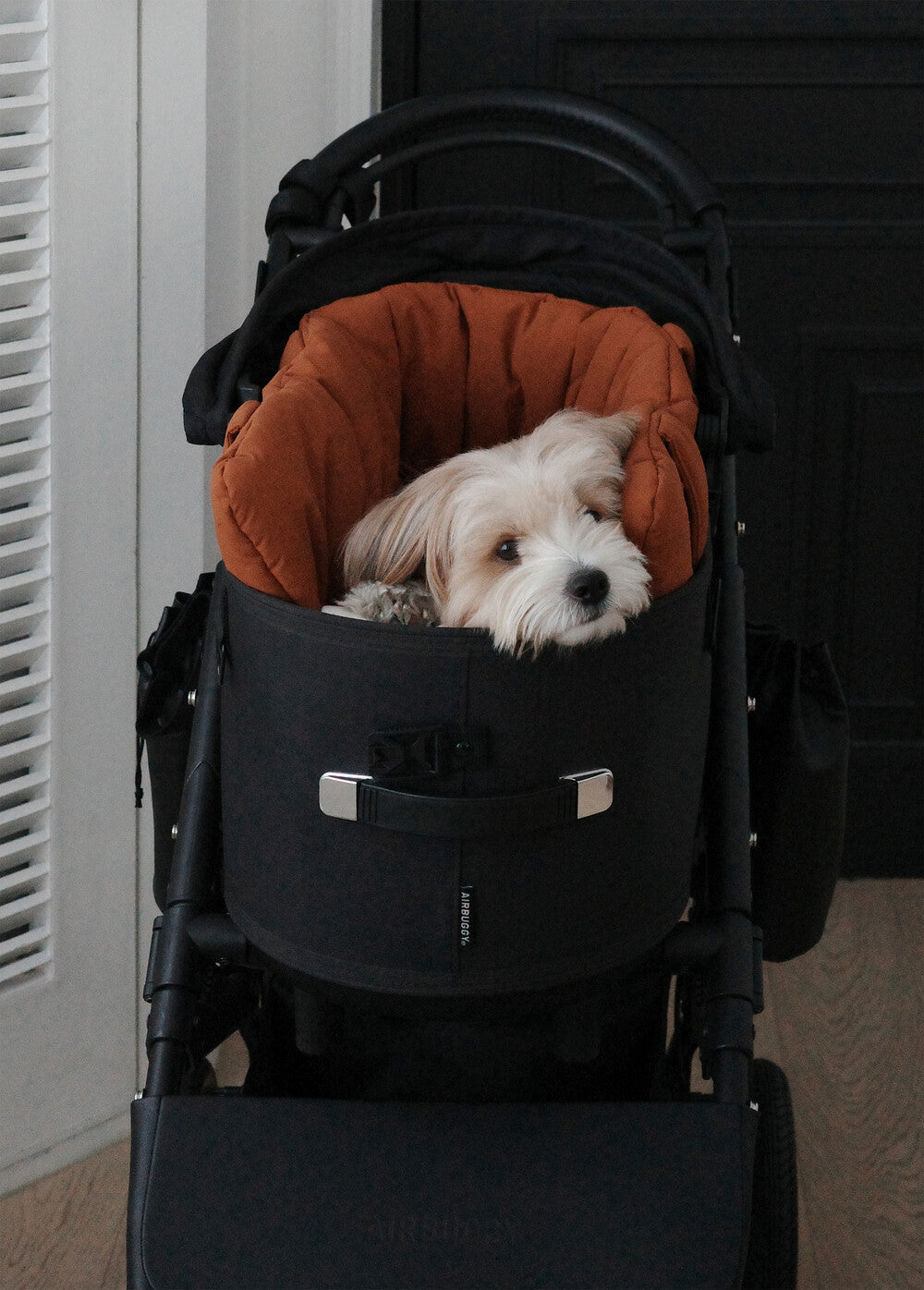 【予約】 DAY CARRY BAG (brick orange)｜犬用キャリーバッグ