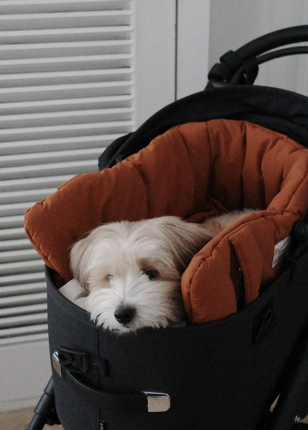 【予約】 DAY CARRY BAG (brick orange)｜犬用キャリーバッグ