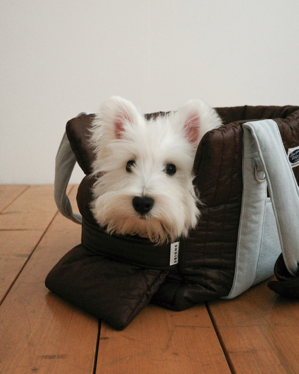 【予約】 DAY CARRY BAG 2.0｜犬用キャリーバッグ