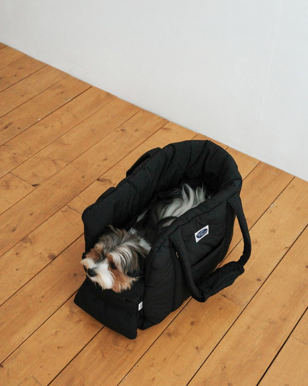 【予約】 DAY CARRY BAG 2.0｜犬用キャリーバッグ