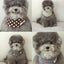 【一部即納】dibs signature modal scarf